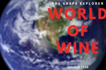 The World of Wine - Wine News for January 2020