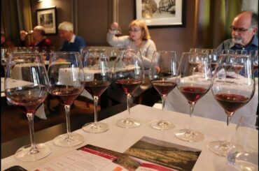 Terrasses du Larzac - 100 Wines to Learn More