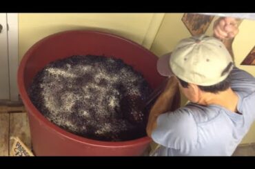 #3 Making Wine (Part 3) Yeast