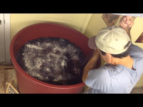 #3 Making Wine (Part 3) Yeast #3 Making Wine (Part 3) Yeast