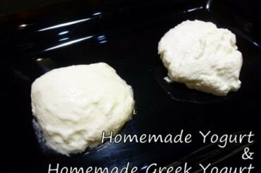 Homemade Yogurt & Homemade Greek Yogurt Recipe | Show Me The Curry
