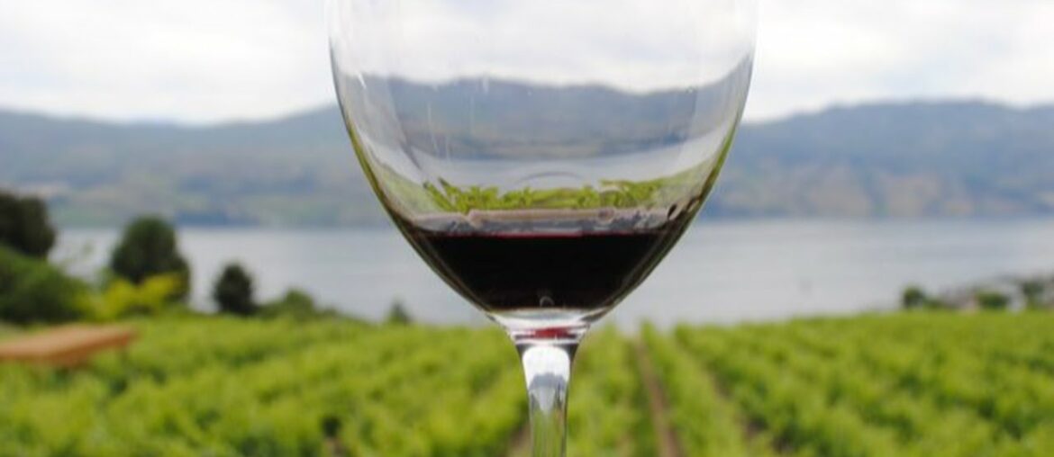 Top 10 Wine Producing Countries Top 10 Wine Producing Countries