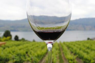 Top 10 Wine Producing Countries