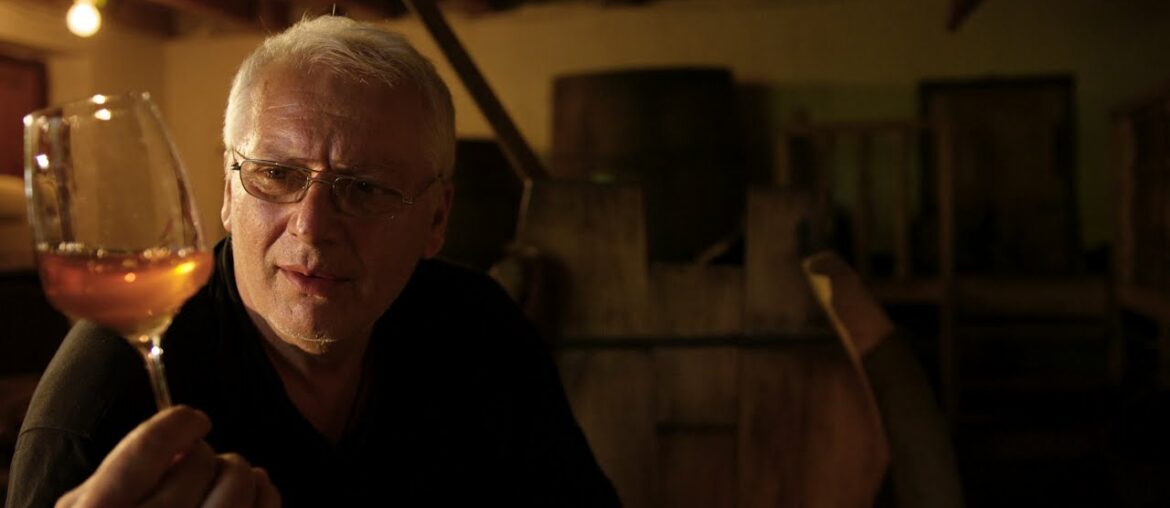 The Wine Emotion  Didgori Wine Making