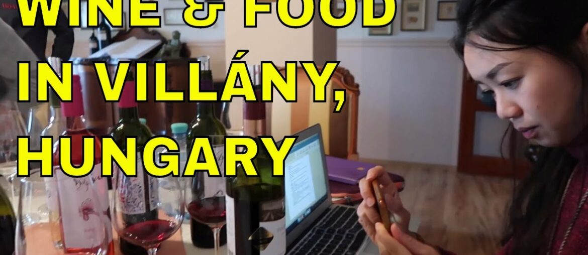 Hungarian Cabernet Franc: Exotic Wine Travel in Villány