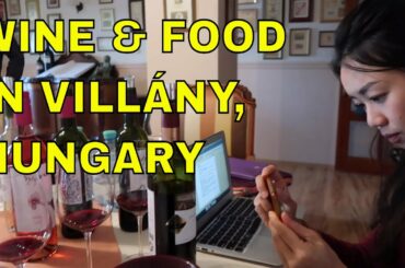 Hungarian Cabernet Franc: Exotic Wine Travel in Villány
