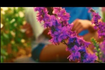 ASMR🍇Falling Asleep Together🍇Provence🍇Bordeaux🍇Personal Attention🍇Wine🍇Massage🍇Girlfriend