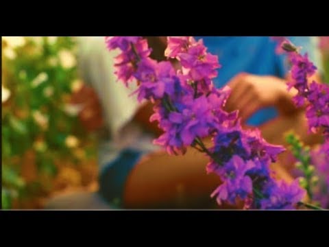 ASMRšFalling Asleep TogetheršProvencešBordeauxšPersonal AttentionšWinešMassagešGirlfriend ASMRšFalling Asleep TogetheršProvencešBordeauxšPersonal AttentionšWinešMassagešGirlfriend