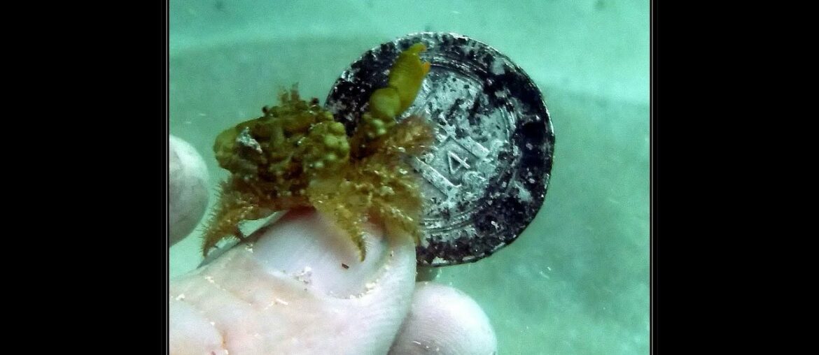 Dominican Republic, Operation Sunken Treasure