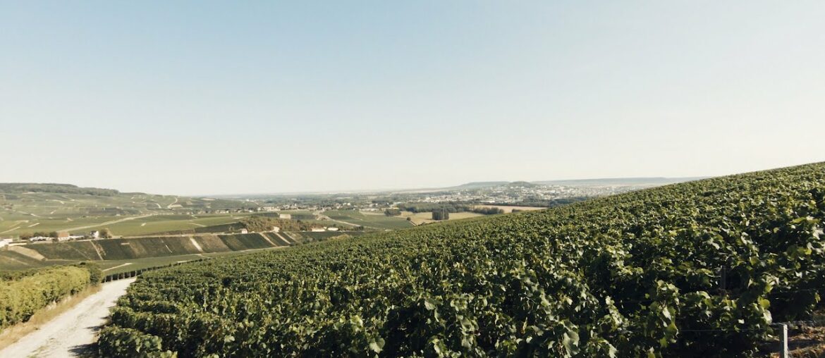 French Alpes and then Champagne. Travel vlog day 12-14. (S1E13)