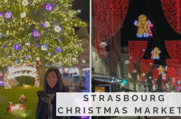 WONDERFUL CHRISTMAS MARKETS | Day 1 Part 2 | Alsace, France | Travel Vlog 2019
