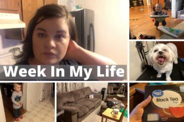 Week in my Life | Good job Counting French Fries