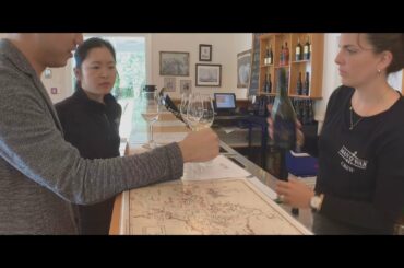 New Zealand Vlog - Day 2 (Waiheke Island, Stonyridge, Mudbrick, Man O'War Vineyards)