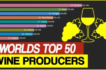 Top 50 Wine-Producing Countries in the World | Wine Production Ranking