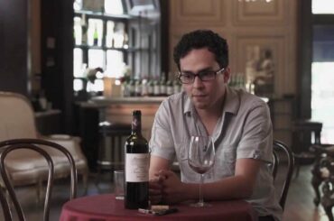 Bordeaux Wine Review: 2009 Chateau Tour Pibran, Pauillac #2