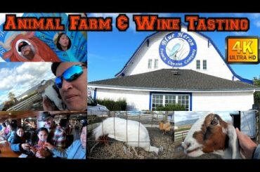 Visiting Blue Heron French Cheese Company