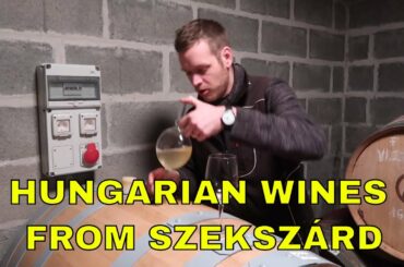 Hungarian Wine: Spicy Red Wines from Szekszárd