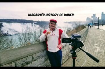 CHEERS   NIAGARA! A HISTORY OF NIAGARA'S WINE COUNTRY