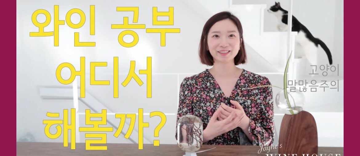 와인 공부를 하는 다양한 옵션과 방법 - 와인 학원, 원데이 클래스, 온라인 클래스