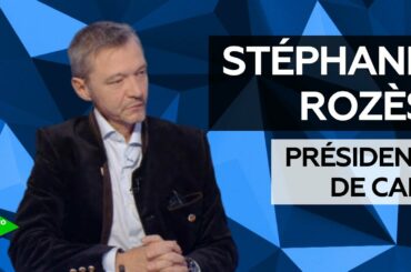Stéphane Rozès : «La dépression française a des raisons culturelles avant tout»