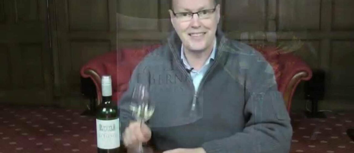 Chateau Le Bernet, Graves Blanc Bordeaux 2013, wine review Chateau Le Bernet, Graves Blanc Bordeaux 2013, wine review