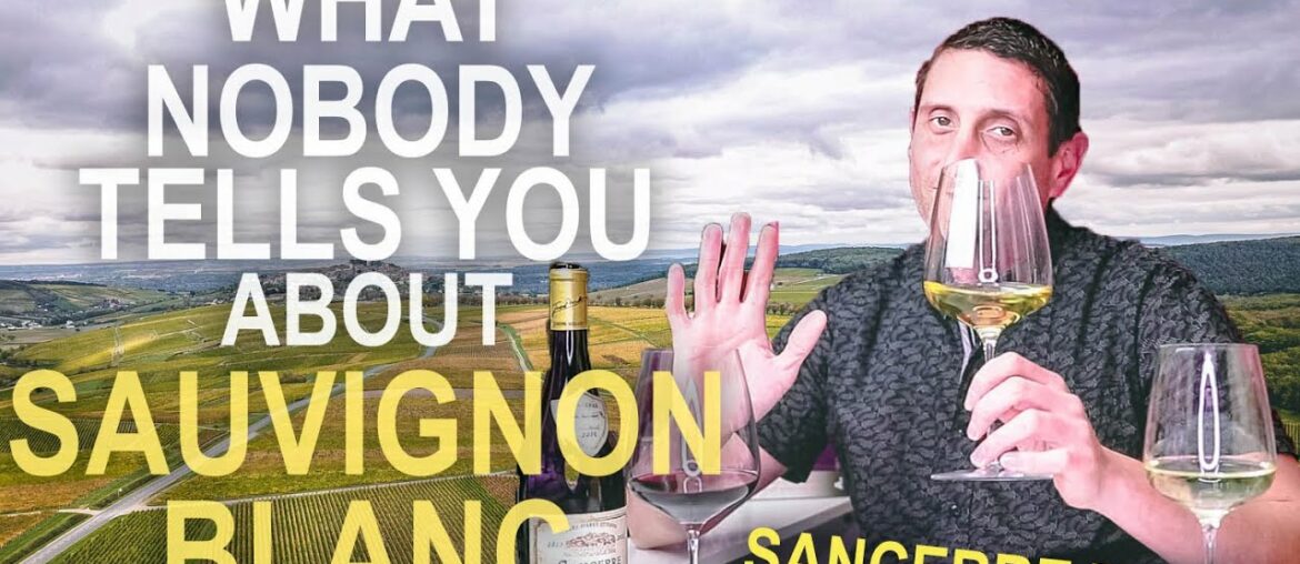 The Origins of Sauvignon Blanc – Inside Sancerre Wine & the Loire Valley of France