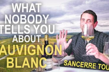 The Origins of Sauvignon Blanc – Inside Sancerre Wine & the Loire Valley of France