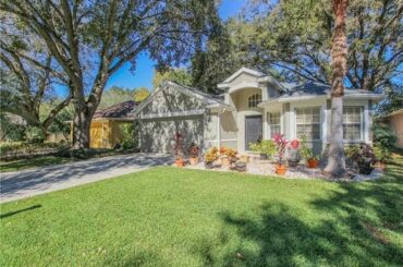 Homes for sale - 4643 DUNNIE DR, TAMPA, FL 33614