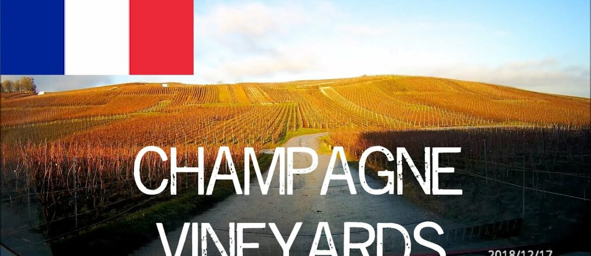 Driving in France – Champagne vineyards and countryside Driving in France - Champagne vineyards and countryside