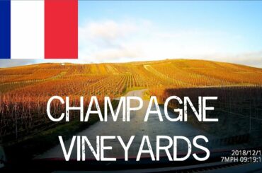 Driving in France - Champagne vineyards and countryside