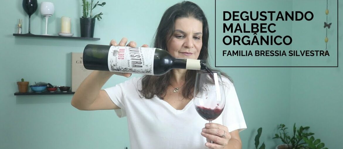 Vinho: Degustando um Malbec Orgânico| Marcia Anholeti Vinho: Degustando um Malbec Orgânico| Marcia Anholeti