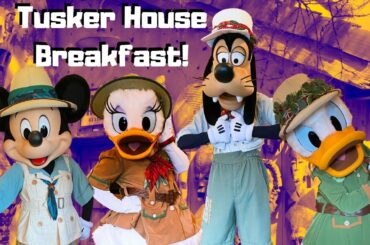 DINING REVIEW: Donald's Safari Breakfast at Tusker House Restaurant | Disney's Animal Kingdom