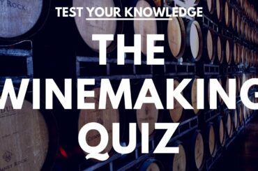 The Winemaking Quiz - WSET style questions to test your wine knowledge