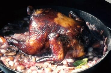 Red Wine Rooster on the Lousiana Grills LG800 - Coq-Au-Vin