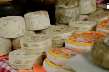 cheese shop in Paris and wine tastings
