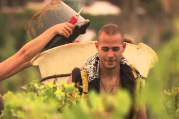 Wine France Burgundy the Chardonnay from the Appellation of Pouilly Fuissé