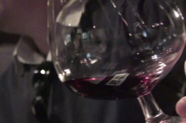 Burgandy France How To Taste Wine