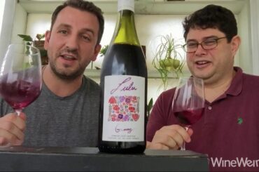 2015 Domaine Jacky Marteau Lulu Gamay Touraine France Red Wine