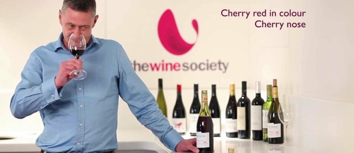 The Wine Society: Barton & Guestier Côtes-du-Rhône Syrah Grenache 2011 The Wine Society: Barton & Guestier Côtes-du-Rhône Syrah Grenache 2011