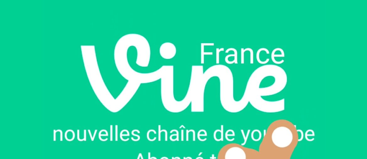 Du chaîne pour quoi Vine France abonne toi tes amis en toujours