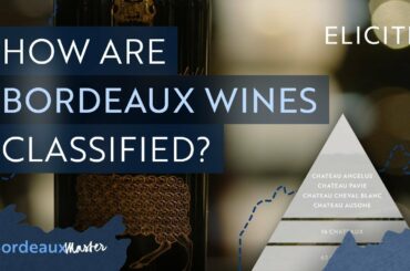 The Wine Classification Of Bordeaux