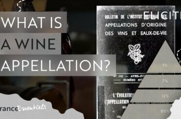 What Is A Wine Appellation?