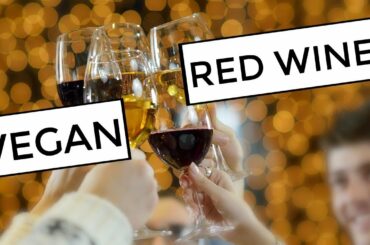 4 Vegan Red Wines under $20