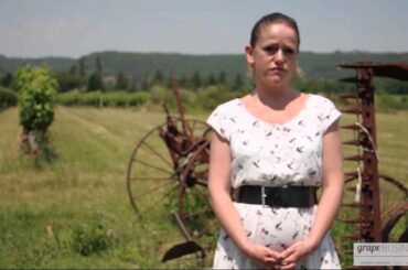 2. What makes French wine French ?