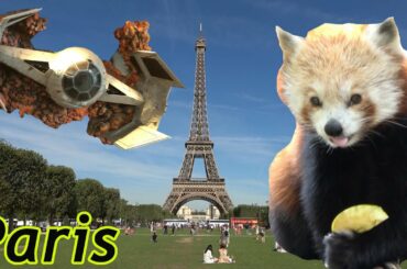 Paris France (Things To Do, Places To Eat & Drink)