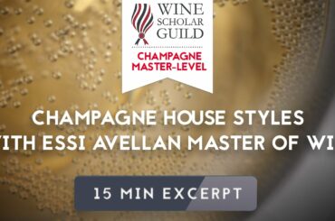 Champagne House Styles with Essi Avellan Master of Wine