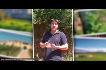 A Look at Past Languedoc-Roussillon Study Trips with the Wine Scholar Guild