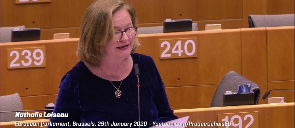 UK will have ‘no one to blame, especially NOT Brussels’ for its problems after Brexit - French MEP