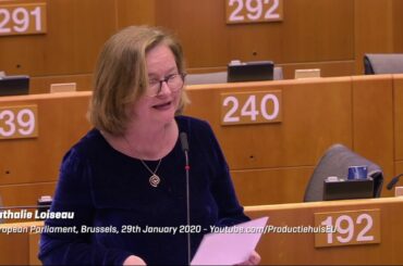 UK will have ‘no one to blame, especially NOT Brussels’ for its problems after Brexit - French MEP