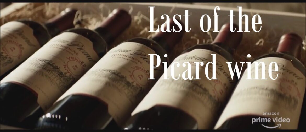 Last of the Picard wine